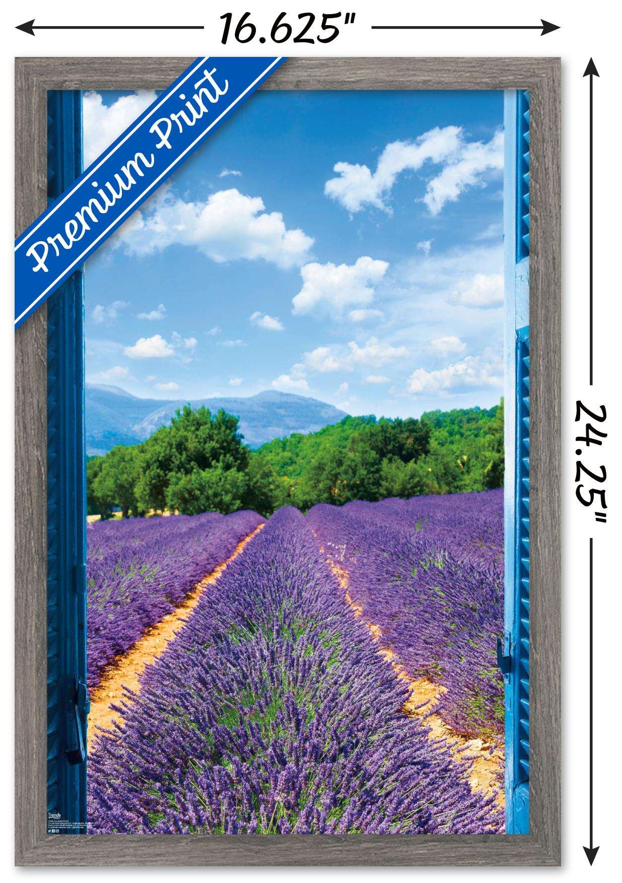 Lavender Field Wall Poster, 14.725" x 22.375", Framed