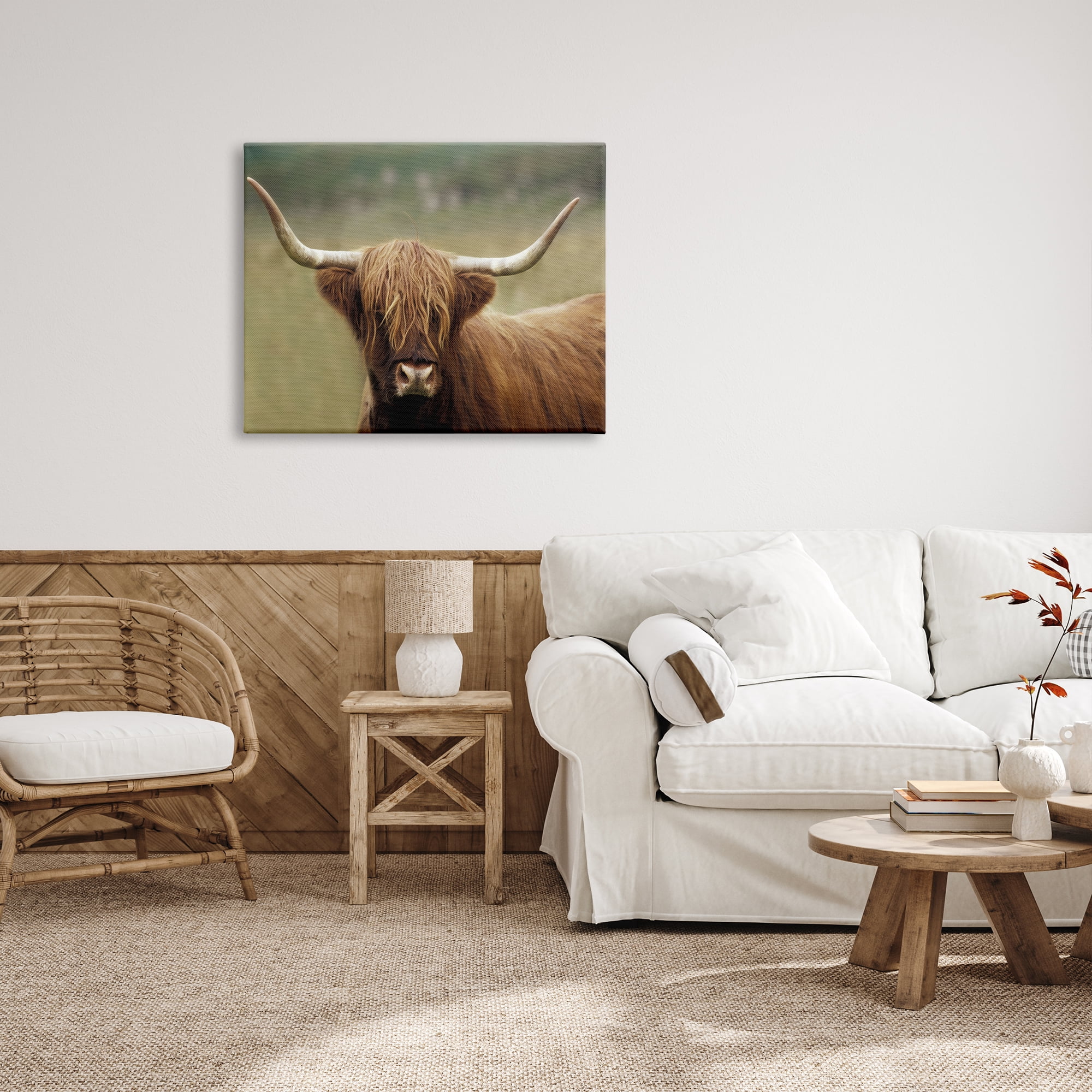 Stupell Industries Highland Cattle Shaggy Hair Country Animal Portrait Photography, 40 x 30, Design by Danita Delimont