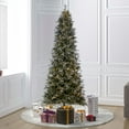 thumbnail image 4 of Vickerman 692691 - 14' x 73" Frosted Slim Douglas Fir Unlit Christmas Tree (K224595), 4 of 11