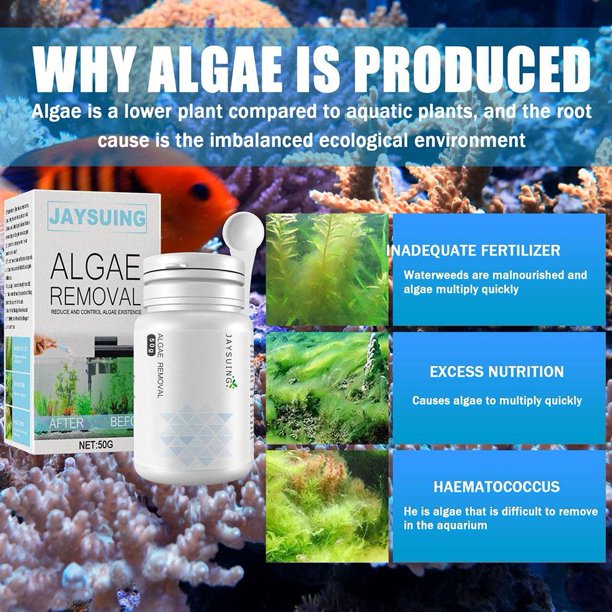 Agente repelente de algas para acuario, 50g, removedor de musgo para estanque de peces con cuchara Wdftyju Libre de BPA