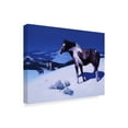 thumbnail image 2 of Trademark Fine Art 'Painted Night' Canvas Art by Julie T. Chapman, 2 of 4