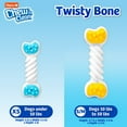thumbnail image 3 of Hartz Chew n Clean Twisty Bone Dog Toy, Small, 1ct, 3 of 8