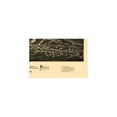 thumbnail image 2 of Historic Panoramic View - East Pepperell Massachusetts - Burleigh 1886 - Vintage Wall Art, 2 of 4