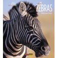 thumbnail image 1 of Living Wild: Zebras, 1 of 1