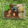 thumbnail image 2 of Yazoeia Reptile Terrarium - Reptile Breeding Box, Transparent Feeding Terrarium | Acrylic Reptile Feeding Container, Lizard Aquarium Breeding Terrarium Habitat for Snake Turtle Frog Spider, 2 of 9