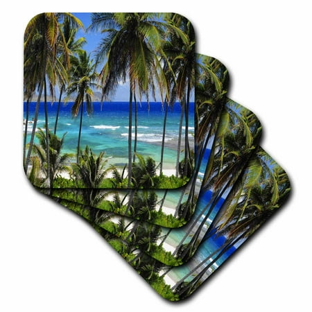 

3dRose Tropical Day Scene with Swaying Palm Trees and Glimpses of Blue Ocean Soft Coasters set of 4