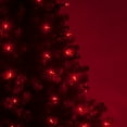 thumbnail image 6 of Wintergreen Lighting LED Christmas Tree Lights, T5 Mini Lights, LED String Lights, Christmas String Lights, 50 Lights, Green Wire, 6 of 7