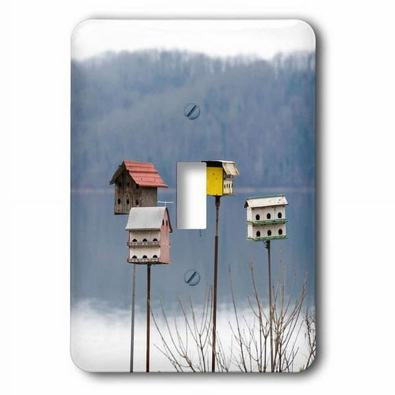 3dRose, USA, Tennessee. Whimsical martin houses made from recycled materials, single toggle switch