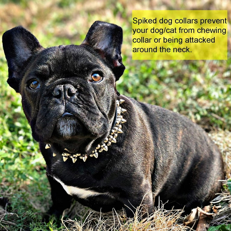 Cool Pet Collars,10 Pcs Soft Faux Leather Spiked Dog Collar with Rivets and Studs Puppy Collars Adjustable for Small Medium Large Dogs for Pet Big