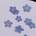 thumbnail image 2 of .5-1 cm/ 0.2-0.39 Real Flowers Pressed Dried Flowers for DIY Jewelry Making, 2 of 8