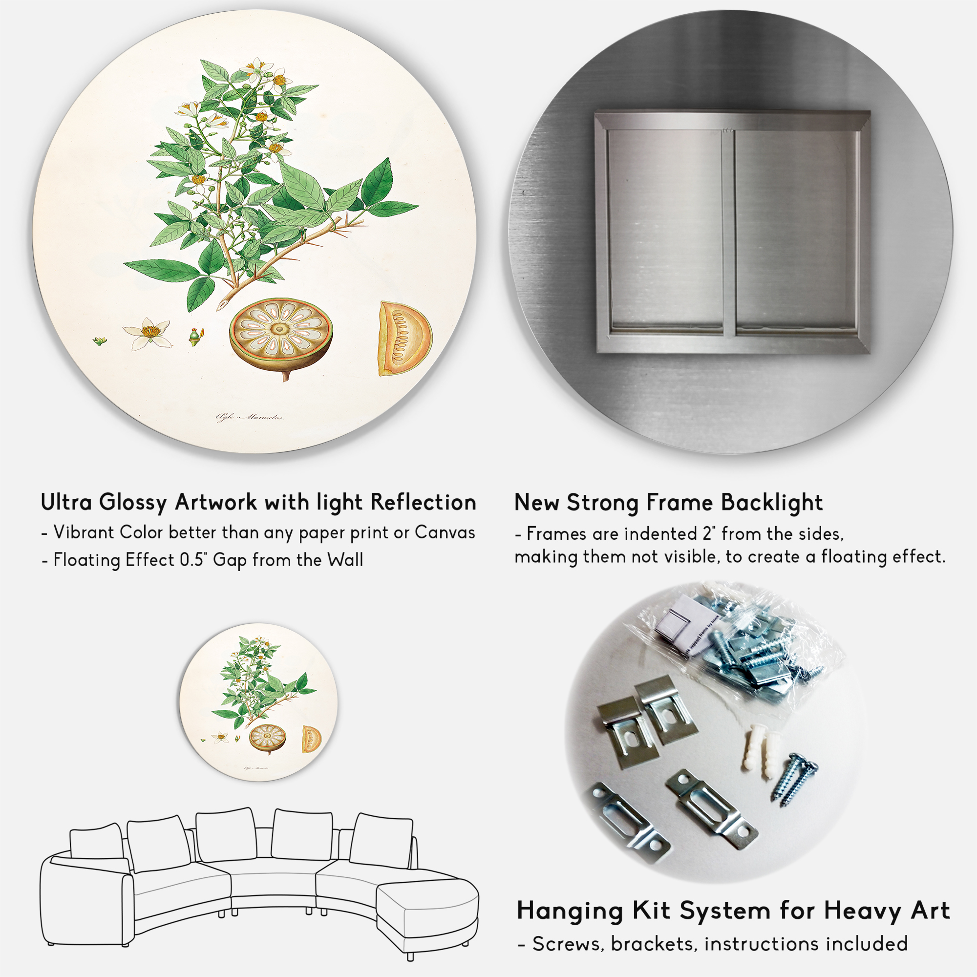 Designart 'Ancient Plant Life X' Farmhouse Circle Metal Wall Art 23x23 - Disc of 23