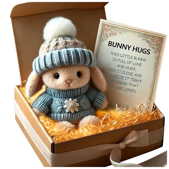 Handmade Mini Bunny Hug Cute Easter Gift, with Light & Inspirational Card, Easter Plush Soft Rabbit Pocket Toy, Stuffed Bunny Decor in Box, for Friends Family (2pcs, A)