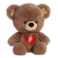 thumbnail image 4 of Aurora  13 in. Heartwarming Valentine Heart for You Bear Decorative Charm Loveable Companions Stuffed Animal Toy, Brown, 4 of 5