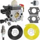 thumbnail image 1 of Hedge Trimmer Carburetor Kit with Gasket & Spark Plug for Various Models - Replaces 4237 120 0606, 4237 120 0618, C1Q-S225, 1 of 5