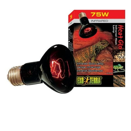 Exo terra cheap heat bulb