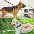 thumbnail image 5 of 2-in-1 Dogs Collar Replaceable Adjustable Hypoallergenic and Safe Insect Repellent Pet Collar, 5 of 6
