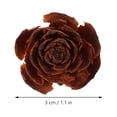 thumbnail image 3 of Miangastore 10pcs DIY Plant Samples Dry Flowers Material DIY Craft Material DIY Plant Specimen Decor, 3 of 8