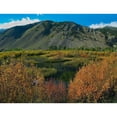 thumbnail image 3 of Fitzharris, Tim 24x19 Black Modern Framed Museum Art Print Titled - Boulder Mountains and Trail Creek beaver pond in autumn-Idaho, 3 of 5