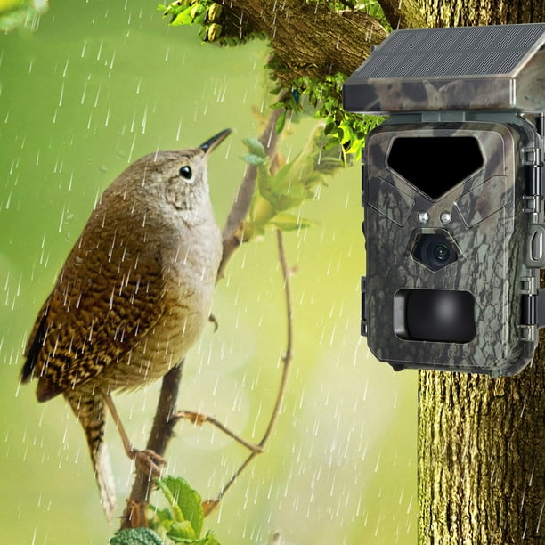 Cámara de caza para investigación científica al aire libre, con panel solar, cámara de vigilancia con visión nocturna infrarroja de 20 MP, cámara antirrobo para estanques de peces, bosques y granjas,