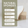 thumbnail image 2 of Beille 2pk Standard Non Scratch Coconut Plant Based Dish Sponge Cleaning Supplies, 2 of 4