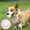 Pink, variant on Byujiro Paw Print Dog Tennis Ball Solid Elastic Ball Interactive Fetch & Chew Toys for Small to Medium Dogs