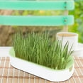 thumbnail image 5 of Cat Grass Planter, Hydroponic Planter, Hydroponic Grass Planter, Self Watering Cat Grass Planting Container Soilless Pots Window Planting Box Hydroponic Planter Nursery Planting Pots Growing Products, 5 of 6