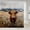 Beige, variant on White Wolf Shower Curtain Wolves Couple Safari Animals for Stalls Bathtubs Wolf Family Exotic Wildlife Woods Nature Waterproof 72W x 72L Home Decor