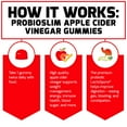 Force Factor ProbioSlim Apple Cider Vinegar Gummies Supplement, 60