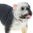 thumbnail image 3 of Juguete de Plástico en Miniatura para perros Baoblaze, 3 of 8