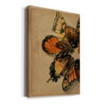 thumbnail image 2 of Winged Wreath II Premium Gallery Wrapped Canvas - Ready to Hang, 2 of 9