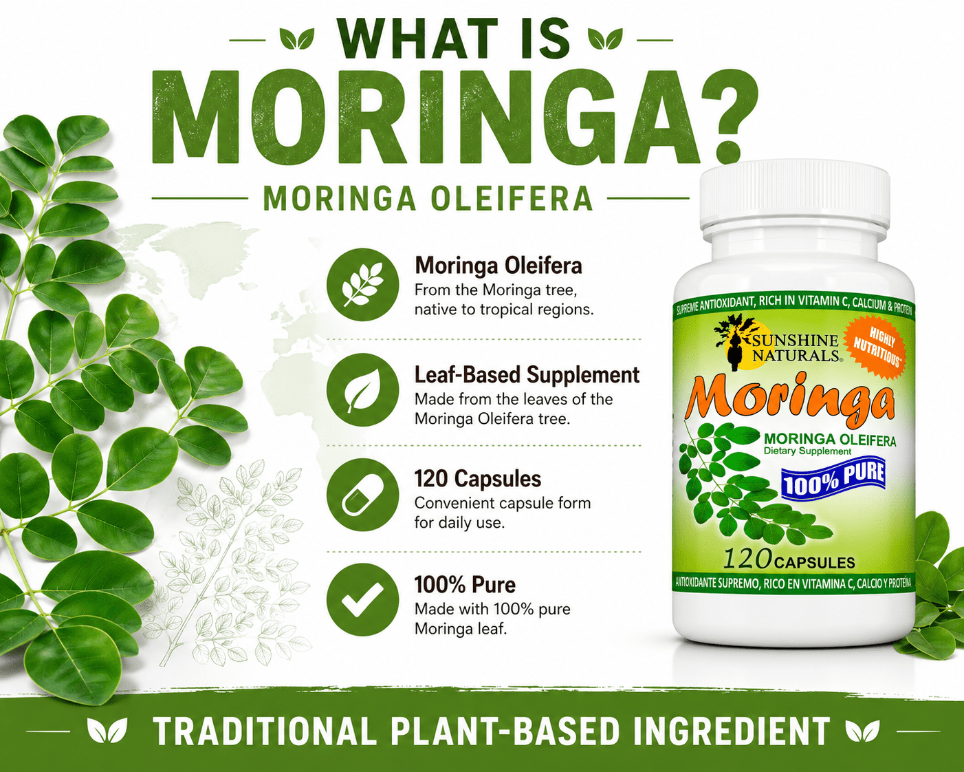 (3 pack) Sunshine Naturals Moringa Leaf Capsules, Moringa Oleifera Dietary Supplement, Vegan Capsules, Plant-Based Herbal Supplement, 120 Capsules