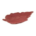 thumbnail image 3 of WAY TO CELEBRATE STONEWARE SHAPED LEAF PLATE, 3 of 3