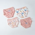 thumbnail image 3 of Usaibhir Toddler Baby Girls 4Pcs Pure Cotton Underwear Panties Soft Comfort Underwear Little Girls Assorted Briefs, 3 of 4