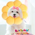 thumbnail image 2 of Miangastore Adorable Flower Design Cat Collar Soft Protective For Cats Prevents Licking Scratching Portable Durable For, 2 of 7