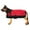 Red Black, variant on XXS Hilason 200 gsm 600D Winter Turnout Waterproof Dog Blanket Royal Blue