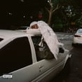thumbnail image 1 of DOMINO Negro Swan, 1 of 1