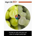 thumbnail image 3 of 6 Pack E14 LED Candle Light Bulbs - Cool White 6500K, 5W 600 Lumens, Non-Dimmable, 240 Beam Angle, 3 of 5