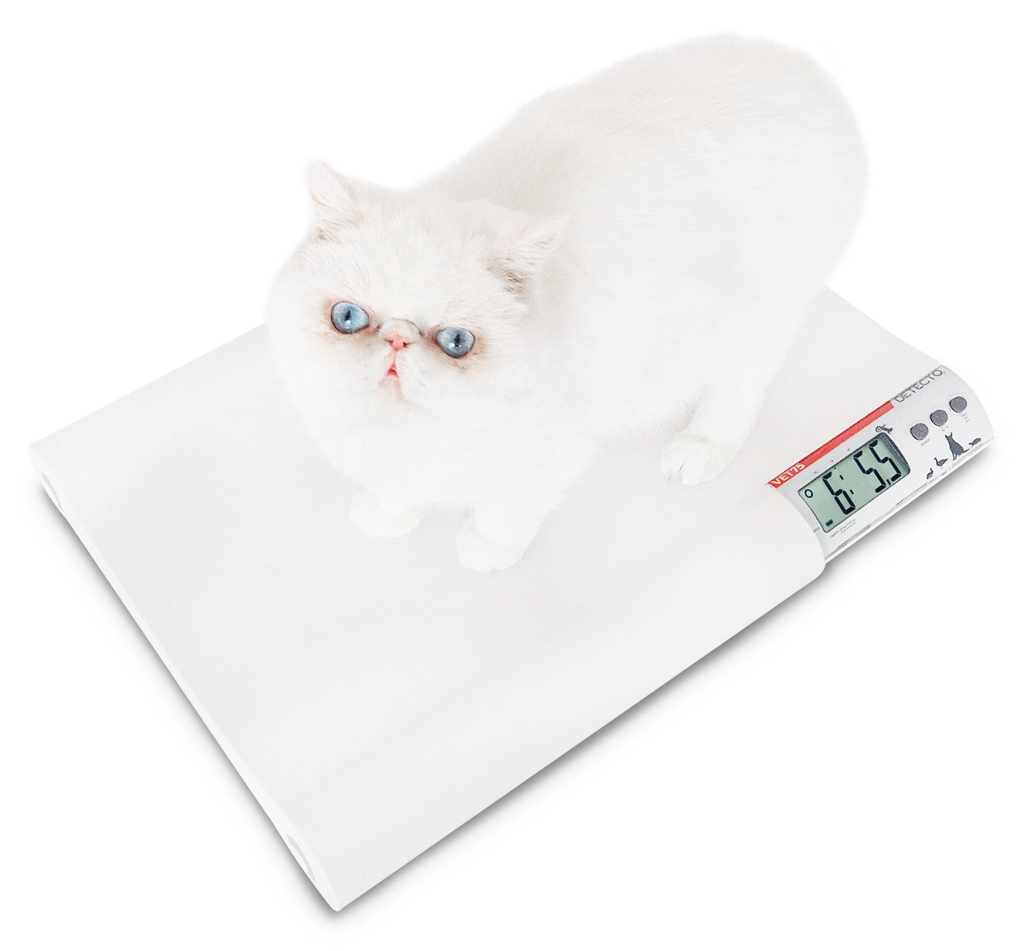 Cardinal Scales VET75 Digital Veterinary Scale - 75 x 0.02 lbs