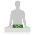 thumbnail image 5 of Vernors Gingerale Soda, 12 Ounce (12 Cans), 5 of 7