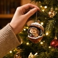 thumbnail image 6 of chaungfeng Pine Cone Animal Ornament, Woodland Acorn Forest Animal for Christmas Tree Decoration, 2D Acrylic Animals Decor for Holiday Keepsake Gifts, 6 of 6