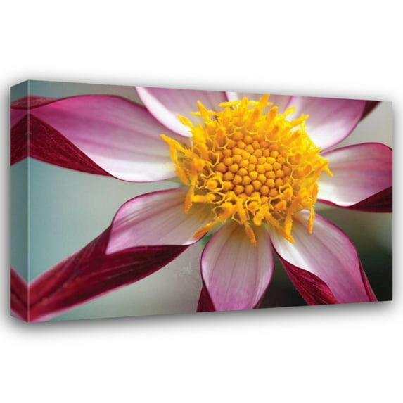 Dana Styber 40x28 Gallery Wrapped Canvas Wall Art Titled - Stardust I