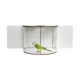 thumbnail image 4 of CoreLiving Window Bird Feeder with Clear Panel and Strong Suction Cups, Large Wooden Design for Inside House Viewing, Durable Outdoor Wild Bird Feeder for Window Attachment, 4 of 8