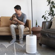 Levoit Core P350-RAC-P Pet Care Air Purifier for Rooms up to 1050 sq ft