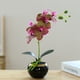 thumbnail image 4 of Ounissouiy Bonsái de flor de orquídea artificial, maceta de Phalaenopsis en maceta, figurita falsa para oficina, hogar, decoración interior y exterior Decoración Verde púrpura Ounissouiy HA084076-05, 4 of 6