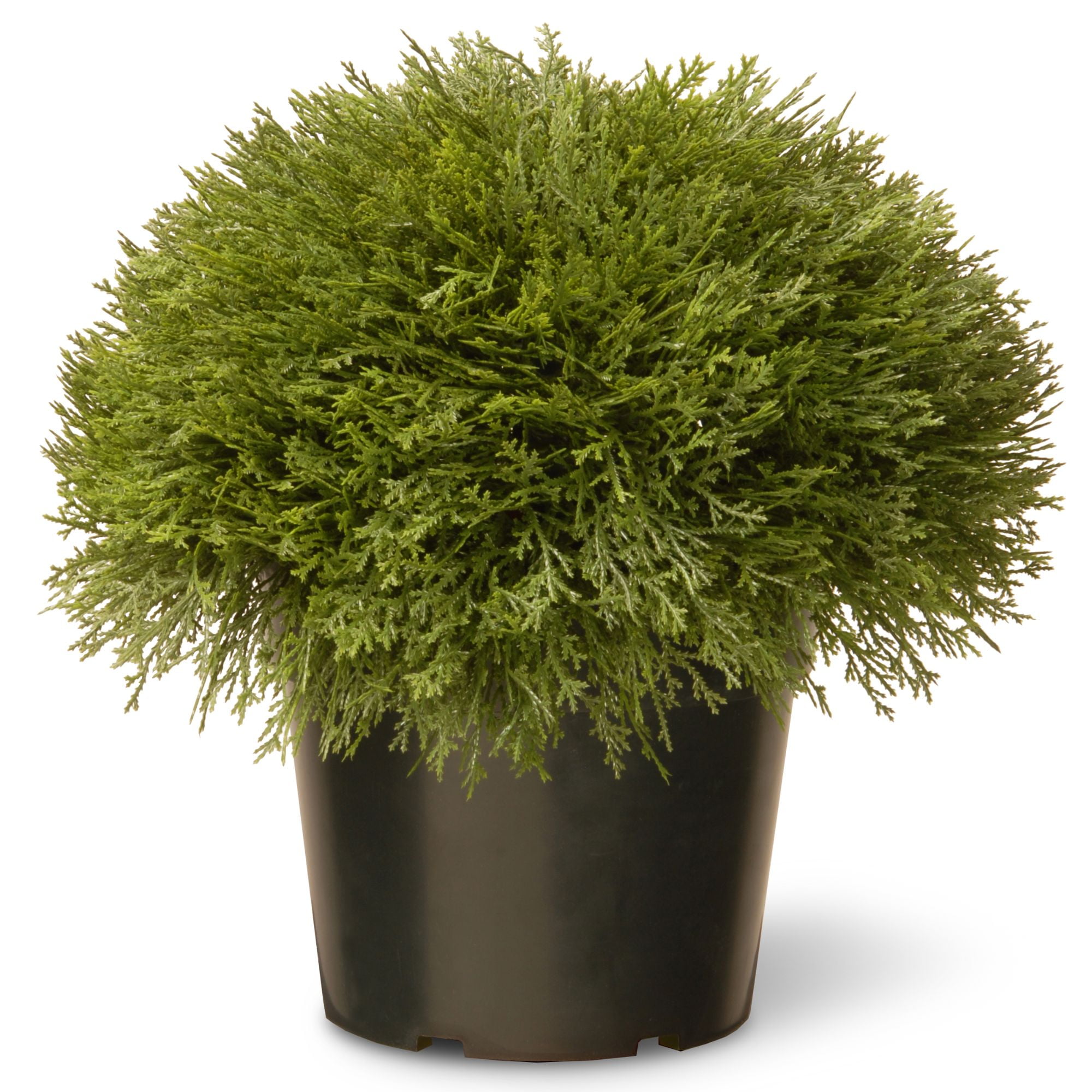 15" Potted Artificial Juniper Bush with Weighted Round Pot