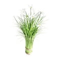 thumbnail image 2 of Planta de flores artificiales, arreglo floral falso, planta falsa, centro de mesa, bonsái PP Blanco, 2 of 9