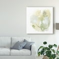 thumbnail image 3 of Trademark Fine Art 'Intermezzo I' Canvas Art by June Erica Vess, 3 of 4