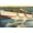 Unframed, variant on Art.com Water Skiers, Daytona Beach, Florida Art Print, 18" x 12"
