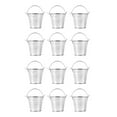 BESTYASH Set of 12 Small Metal Buckets with Handles, Decorative and ...