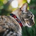 thumbnail image 2 of Collar para gatos con cierre de cinturón Amazing Spider Man de 20 a 30 cm de ancho, 2 of 4